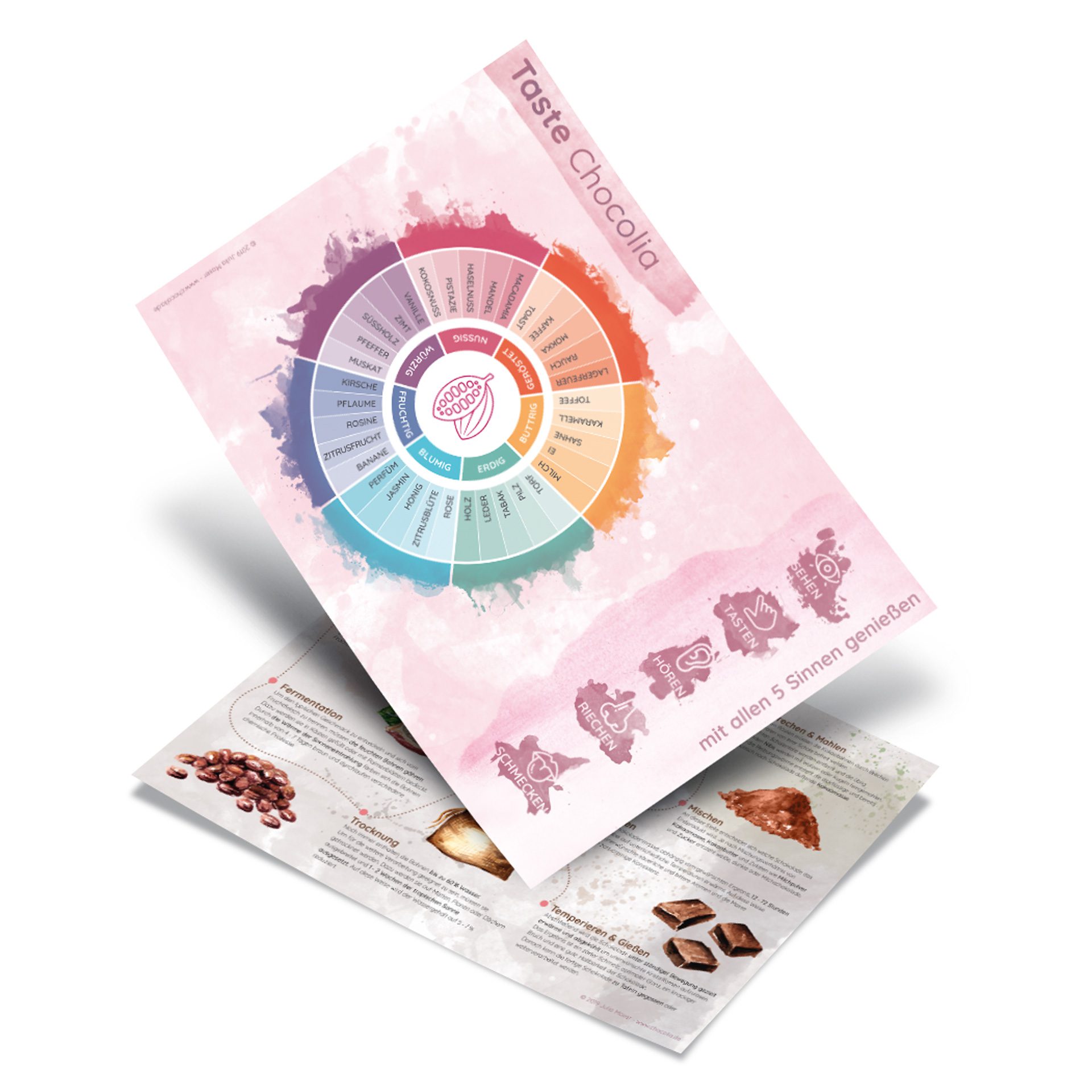 Taste Chocolia Flavour Wheel – Schokoladen Tasting von Chocolia