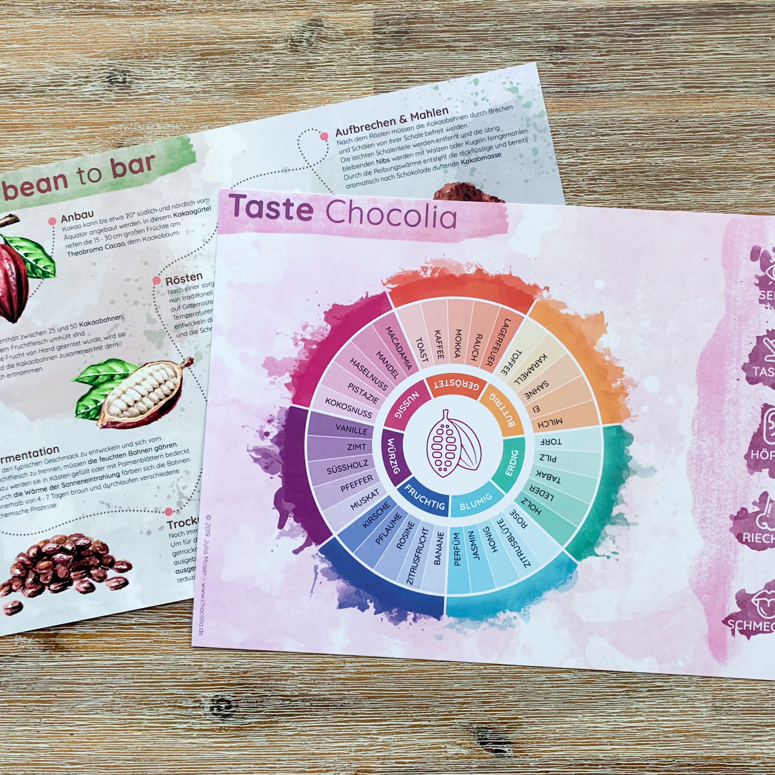Taste Chocolia Flavour Wheel – Schokoladen Tasting von Chocolia, Ansicht 2